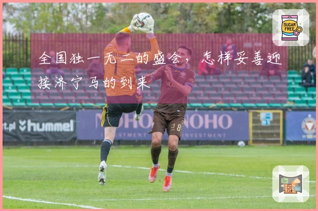 全国独一无二的盛会，怎样妥善迎接济宁马的到来