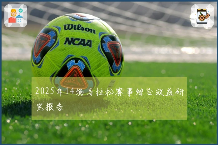 2025年14场马拉松赛事综合效益研究报告