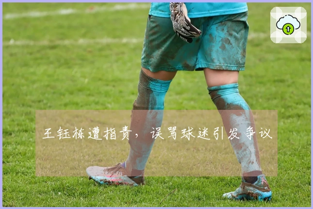 王钰栋遭指责，误骂球迷引发争议
