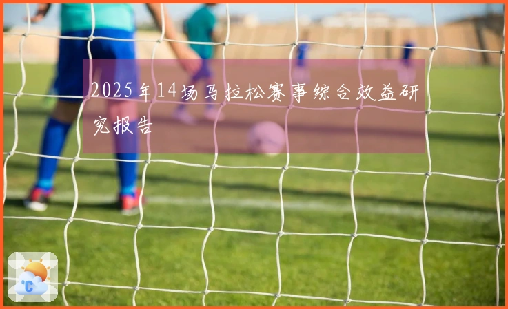 2025年14场马拉松赛事综合效益研究报告